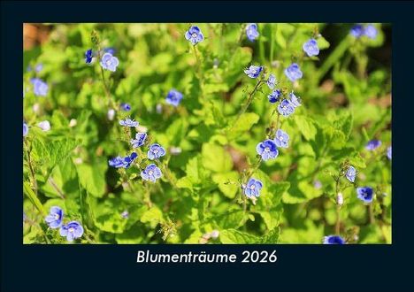 Tobias Becker: Blumenträume 2026 Fotokalender DIN A5, Kalender