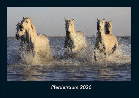 Tobias Becker: Pferdetraum 2026 Fotokalender DIN A4, Kalender