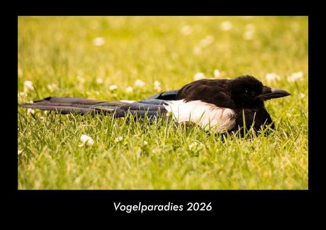 Tobias Becker: Vogelparadies 2026 Fotokalender DIN A3, Kalender
