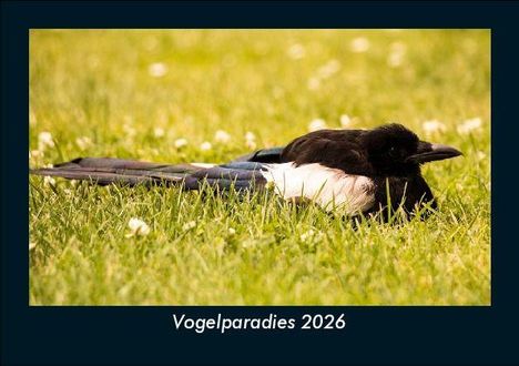 Tobias Becker: Vogelparadies 2026 Fotokalender DIN A5, Kalender