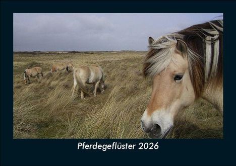 Tobias Becker: Pferdegeflüster 2026 Fotokalender DIN A5, Kalender