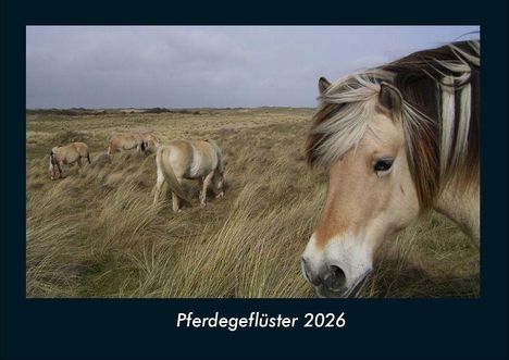 Tobias Becker: Pferdegeflüster 2026 Fotokalender DIN A4, Kalender