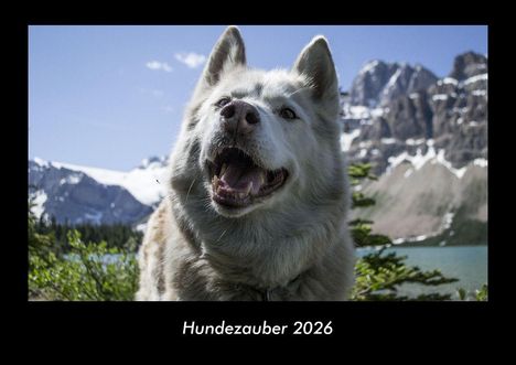 Tobias Becker: Hundezauber 2026 Fotokalender DIN A3, Kalender