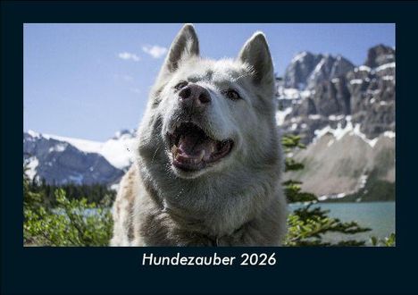 Tobias Becker: Hundezauber 2026 Fotokalender DIN A5, Kalender