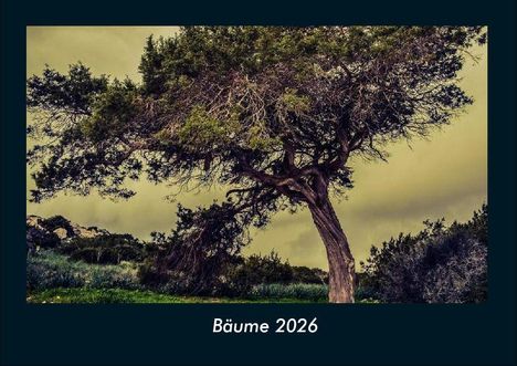 Tobias Becker: Bäume 2026 Fotokalender DIN A4, Kalender