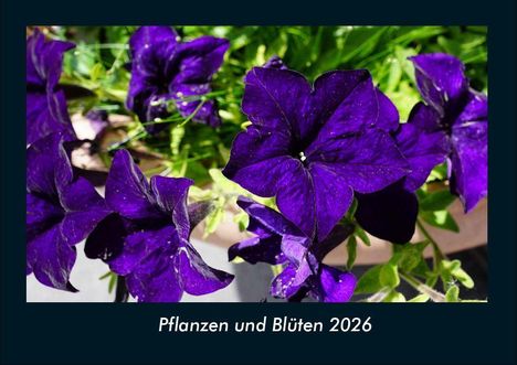 Tobias Becker: Pflanzen und Blüten 2026 Fotokalender DIN A4, Kalender
