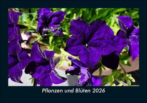 Tobias Becker: Pflanzen und Blüten 2026 Fotokalender DIN A5, Kalender