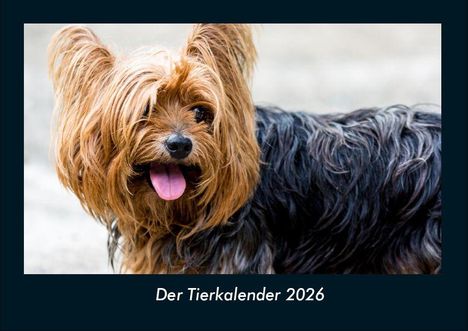 Tobias Becker: Der Tierkalender 2026 Fotokalender DIN A4, Kalender