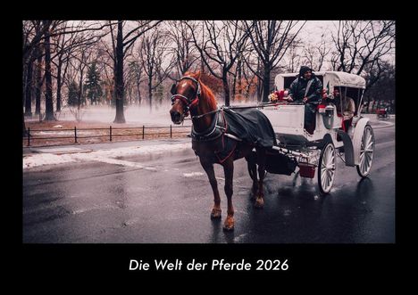 Tobias Becker: Die Welt der Pferde 2026 Fotokalender DIN A3, Kalender