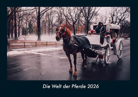 Tobias Becker: Die Welt der Pferde 2026 Fotokalender DIN A4, Kalender