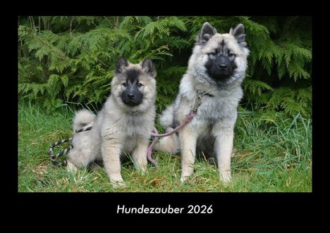Tobias Becker: Hundezauber 2026 Fotokalender DIN A3, Kalender