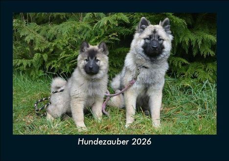 Tobias Becker: Hundezauber 2026 Fotokalender DIN A5, Kalender