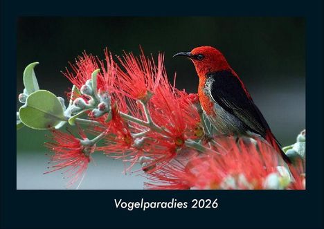 Tobias Becker: Vogelparadies 2026 Fotokalender DIN A4, Kalender