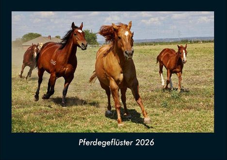 Tobias Becker: Pferdegeflüster 2026 Fotokalender DIN A4, Kalender