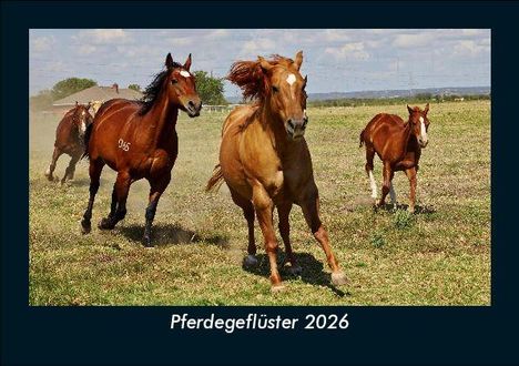 Tobias Becker: Pferdegeflüster 2026 Fotokalender DIN A5, Kalender