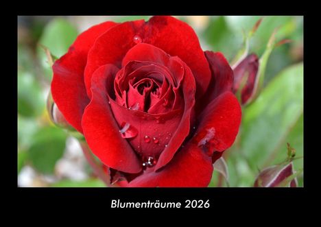 Tobias Becker: Blumenträume 2026 Fotokalender DIN A3, Kalender