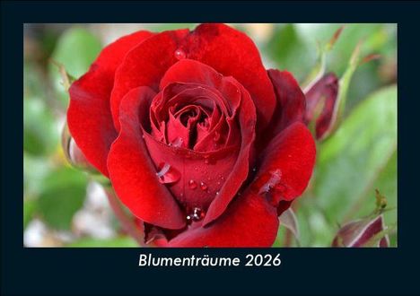 Tobias Becker: Blumenträume 2026 Fotokalender DIN A5, Kalender