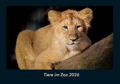 Tobias Becker: Tiere im Zoo 2026 Fotokalender DIN A4, Kalender