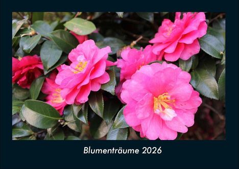 Tobias Becker: Blumenträume 2026 Fotokalender DIN A4, Kalender