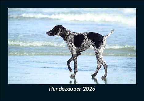 Tobias Becker: Hundezauber 2026 Fotokalender DIN A5, Kalender