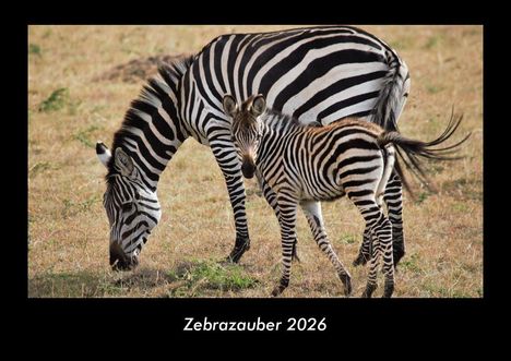 Tobias Becker: Zebrazauber 2026 Fotokalender DIN A3, Kalender