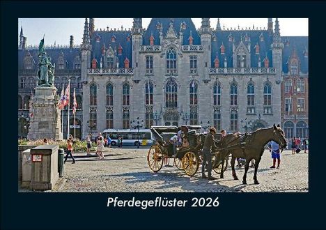 Tobias Becker: Pferdegeflüster 2026 Fotokalender DIN A5, Kalender
