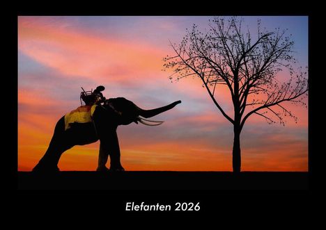 Tobias Becker: Elefanten 2026 Fotokalender DIN A3, Kalender