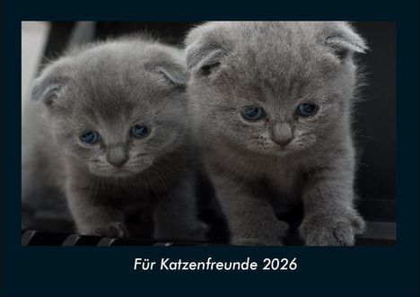 Tobias Becker: Für Katzenfreunde 2026 Fotokalender DIN A4, Kalender