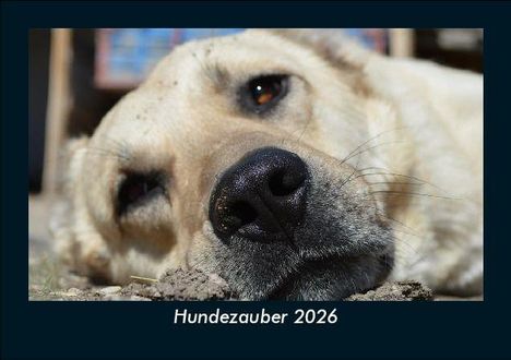 Tobias Becker: Hundezauber 2026 Fotokalender DIN A5, Kalender