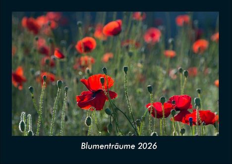 Tobias Becker: Blumenträume 2026 Fotokalender DIN A4, Kalender
