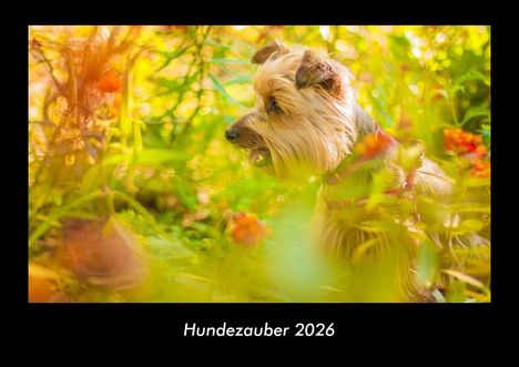 Tobias Becker: Hundezauber 2026 Fotokalender DIN A3, Kalender
