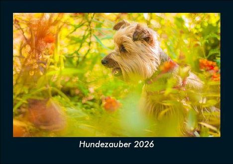 Tobias Becker: Hundezauber 2026 Fotokalender DIN A5, Kalender