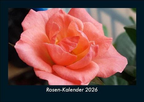 Tobias Becker: Rosen-Kalender 2026 Fotokalender DIN A5, Kalender