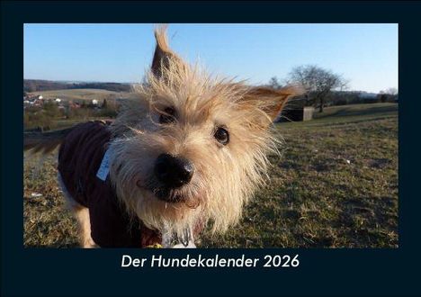 Tobias Becker: Der Hundekalender 2026 Fotokalender DIN A5, Kalender