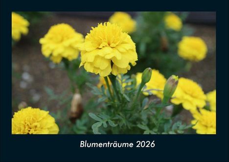 Tobias Becker: Blumenträume 2026 Fotokalender DIN A4, Kalender