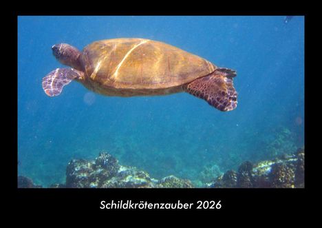 Tobias Becker: Schildkrötenzauber 2026 Fotokalender DIN A3, Kalender