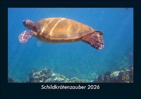 Tobias Becker: Schildkrötenzauber 2026 Fotokalender DIN A5, Kalender