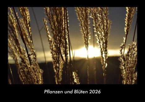 Tobias Becker: Pflanzen und Blüten 2026 Fotokalender DIN A3, Kalender