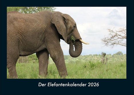 Tobias Becker: Der Elefantenkalender 2026 Fotokalender DIN A4, Kalender