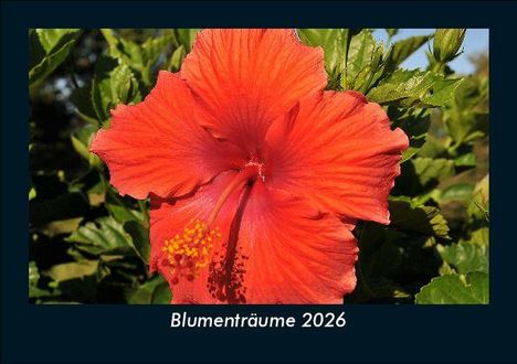 Tobias Becker: Blumenträume 2026 Fotokalender DIN A5, Kalender