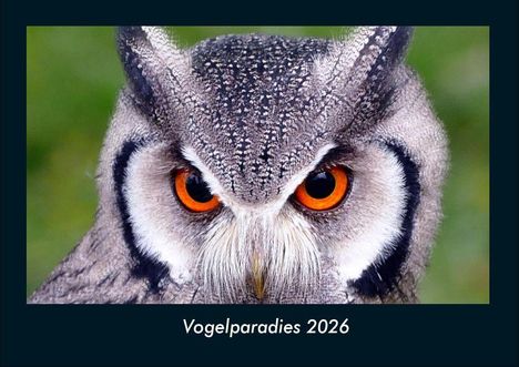 Tobias Becker: Vogelparadies 2026 Fotokalender DIN A4, Kalender