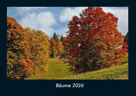 Tobias Becker: Bäume 2026 Fotokalender DIN A4, Kalender