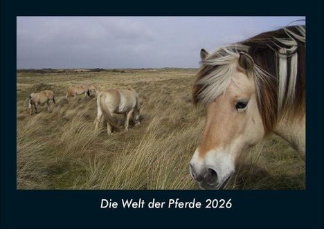 Tobias Becker: Die Welt der Pferde 2026 Fotokalender DIN A4, Kalender