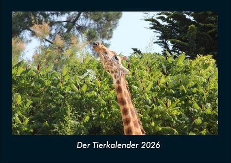 Tobias Becker: Der Tierkalender 2026 Fotokalender DIN A4, Kalender