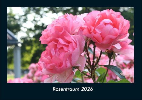 Tobias Becker: Rosentraum 2026 Fotokalender DIN A4, Kalender