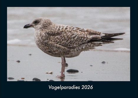 Tobias Becker: Vogelparadies 2026 Fotokalender DIN A4, Kalender