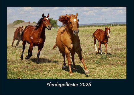 Tobias Becker: Pferdegeflüster 2026 Fotokalender DIN A4, Kalender