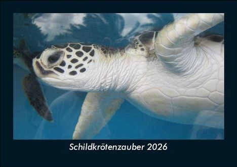 Tobias Becker: Schildkrötenzauber 2026 Fotokalender DIN A5, Kalender