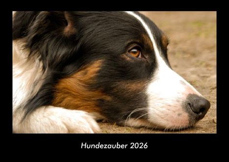 Tobias Becker: Hundezauber 2026 Fotokalender DIN A3, Kalender