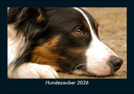 Tobias Becker: Hundezauber 2026 Fotokalender DIN A5, Kalender